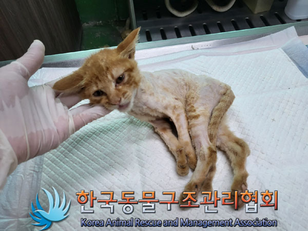 한국동물구조관리협회_411310202300365