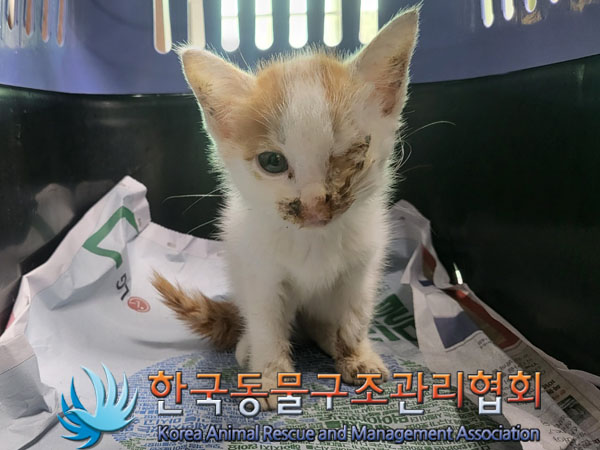한국동물구조관리협회_411309202300322