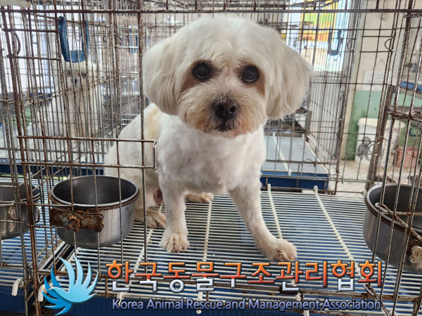 한국동물구조관리협회_411316202300535