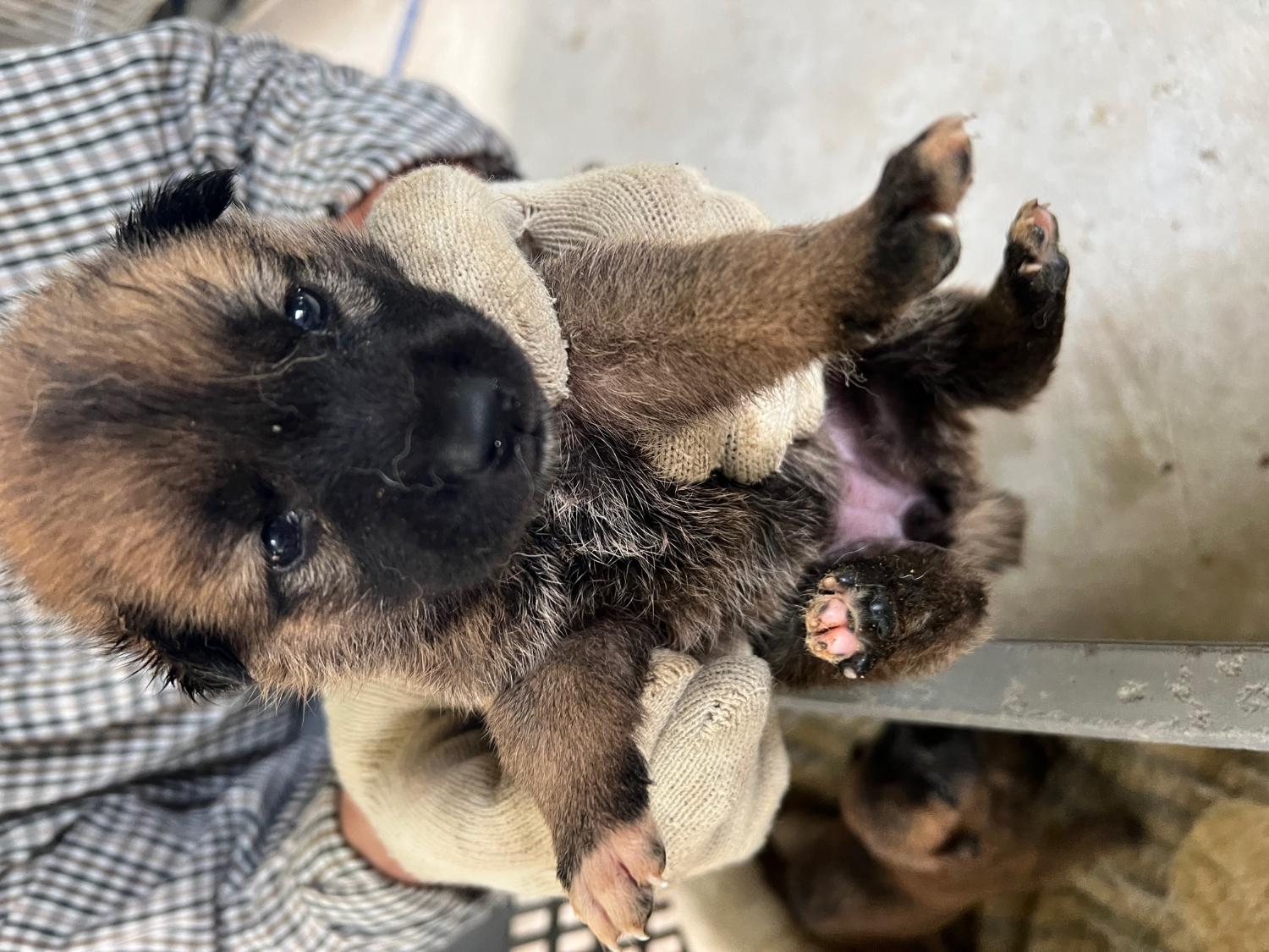 만하농장_448539202300264