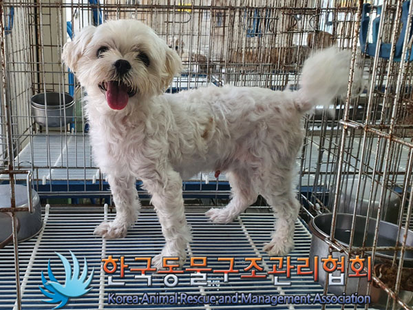 한국동물구조관리협회_411309202300327