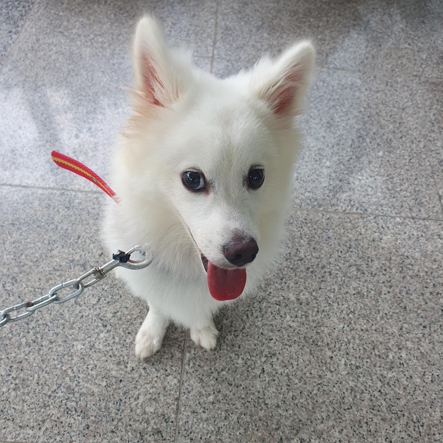 구미시 동물보호센터_447508202300834