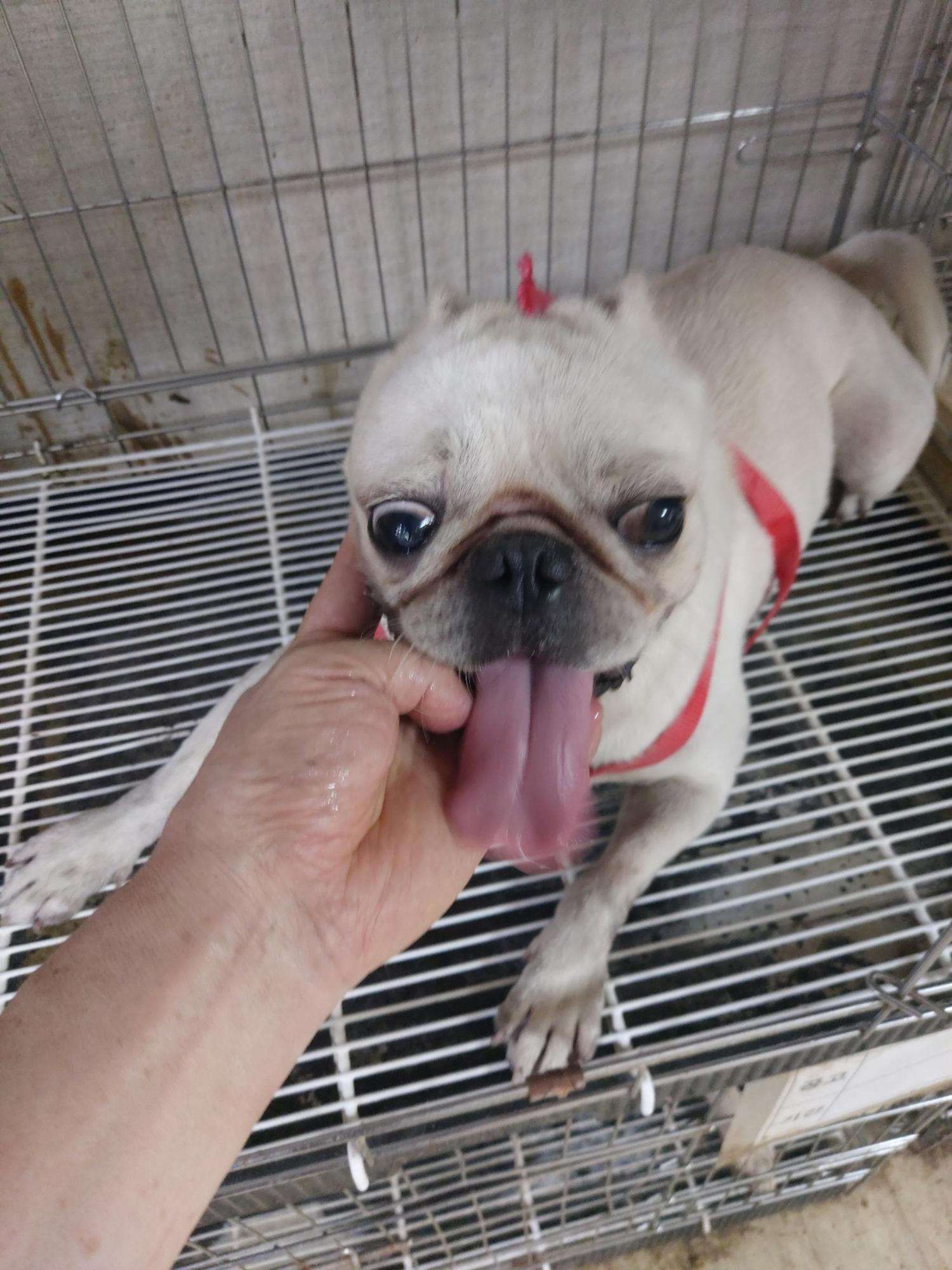 우리동물병원_428356202301331