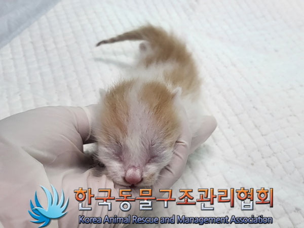 종료(자연사) 한국…