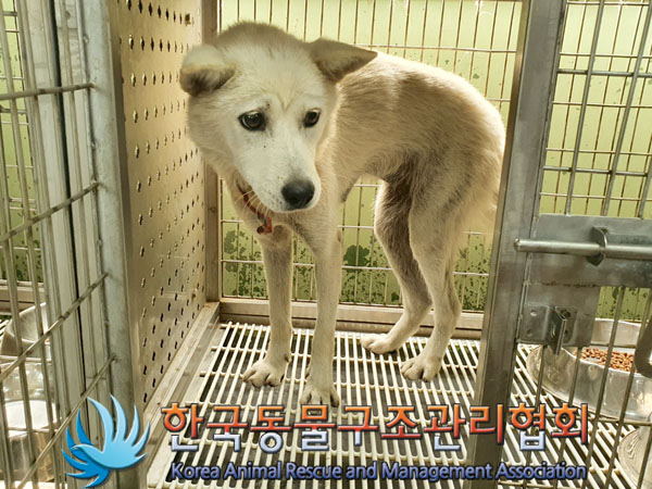 한국동물구조관리협회_441409202301295