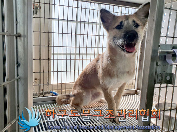한국동물구조관리협회_411305202300416