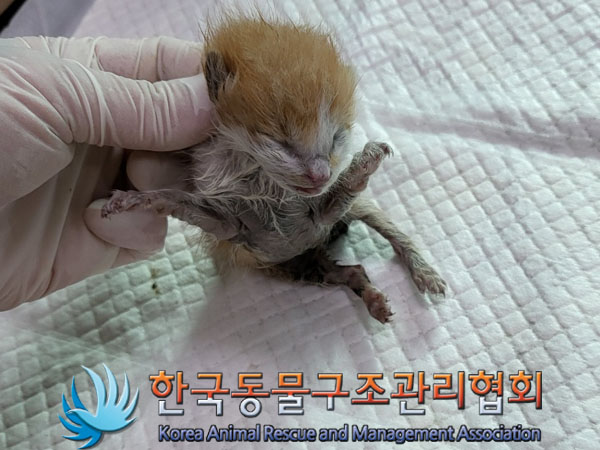 한국동물구조관리협회_441409202301296