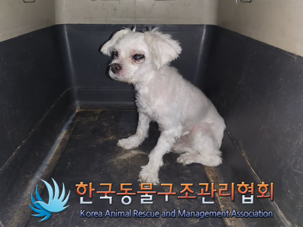 한국동물구조관리협회_441409202301297