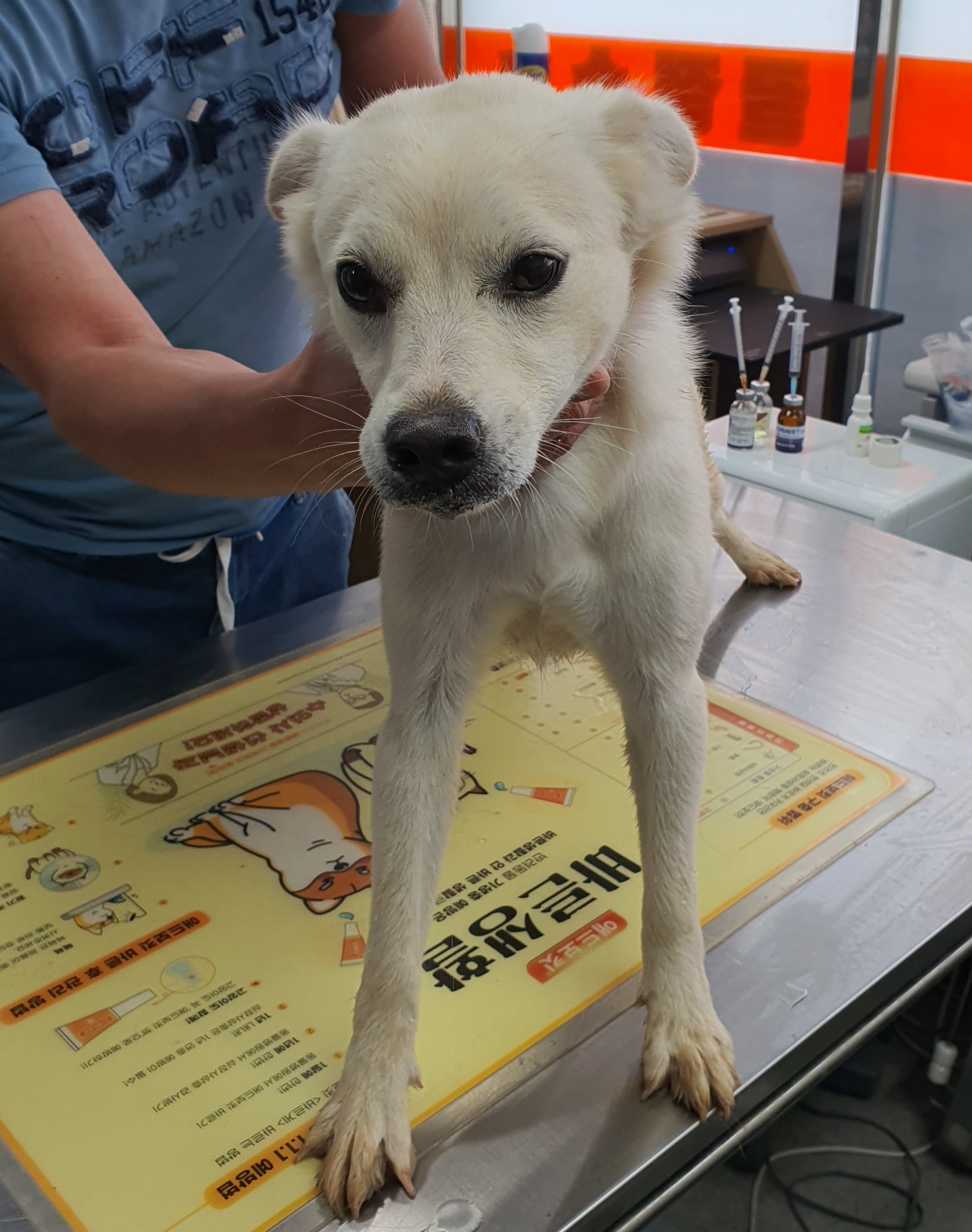 베스트동물병원_428357202300747