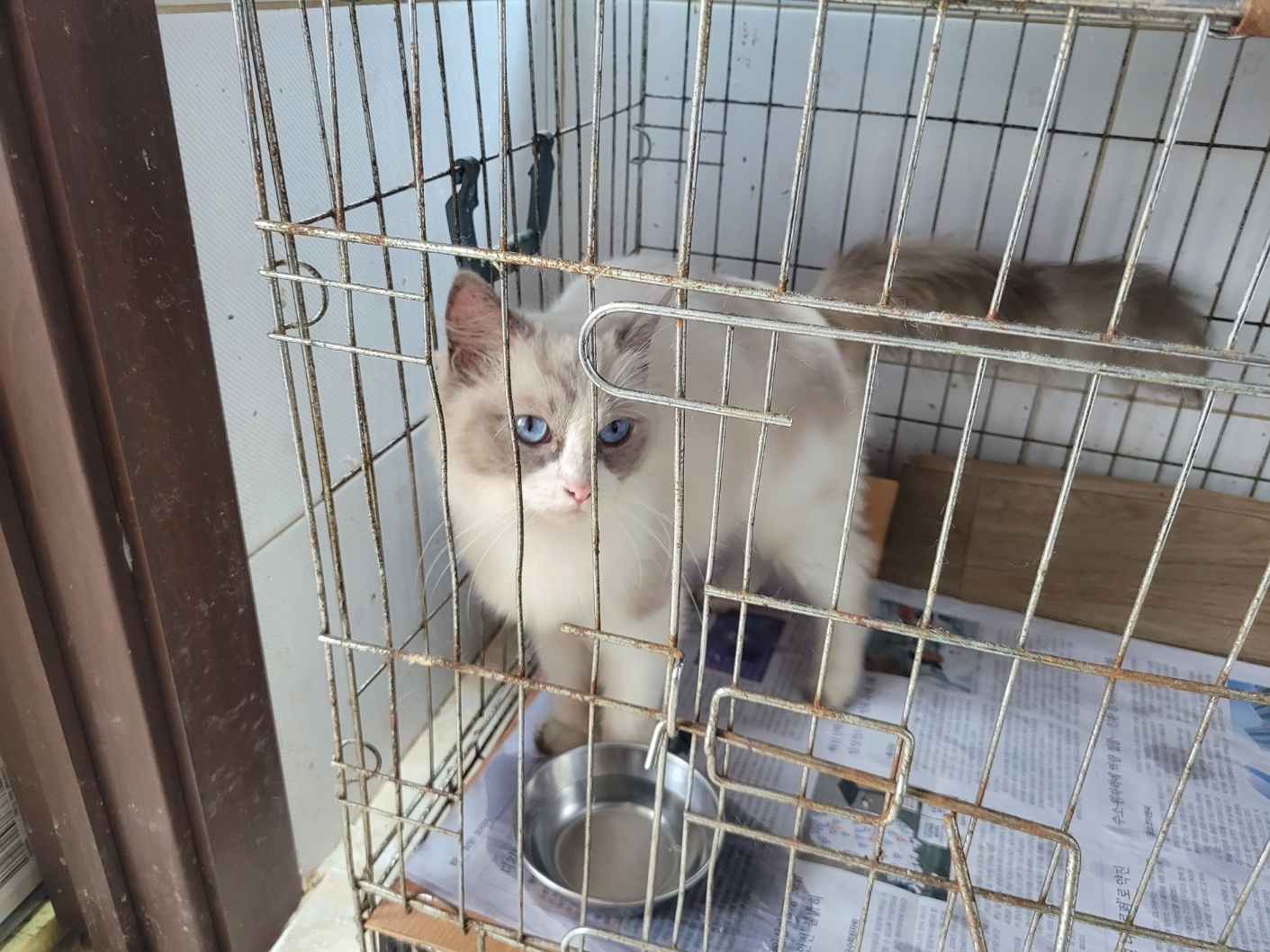 하남동물병원_441404202300475