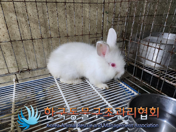 한국동물구조관리협회_441398202300318