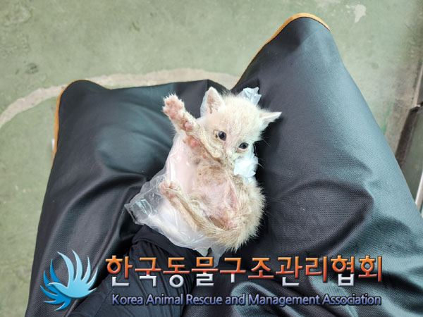 한국동물구조관리협회_411312202300506