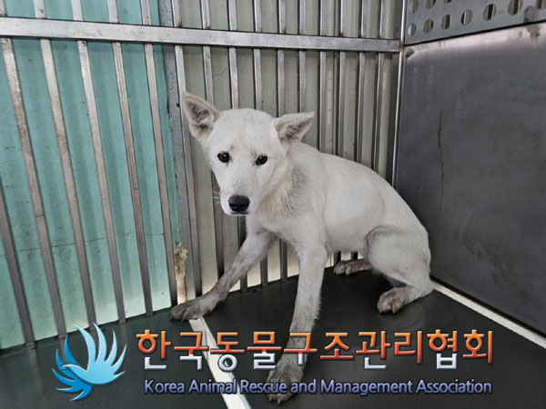 한국동물구조관리협회_441414202300620