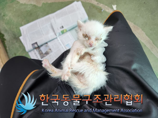 한국동물구조관리협회_441409202301300