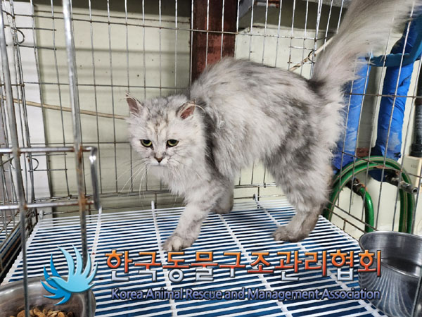 한국동물구조관리협회_441560202300987