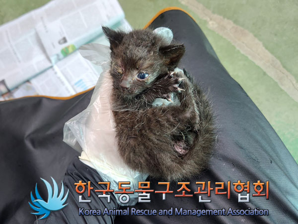 한국동물구조관리협회_441409202301302