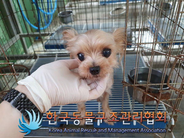 한국동물구조관리협회_411317202300224