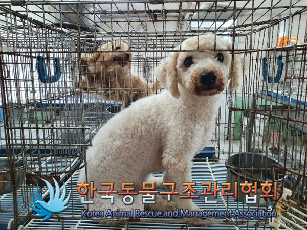 한국동물구조관리협회_411312202300504