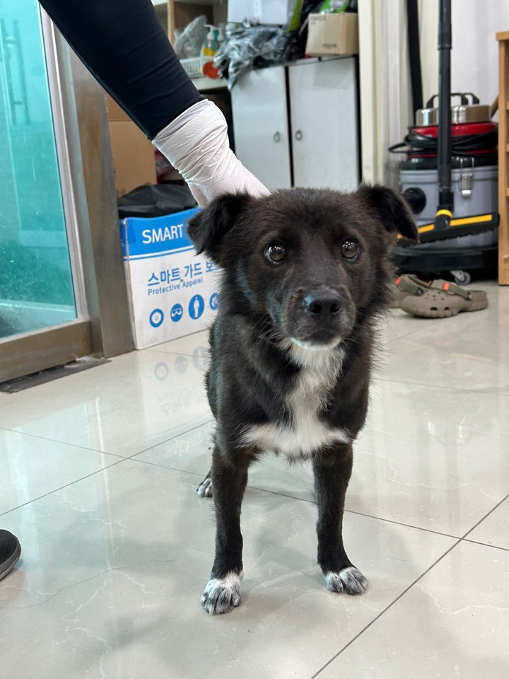 반려동물보호센터_443571202301988