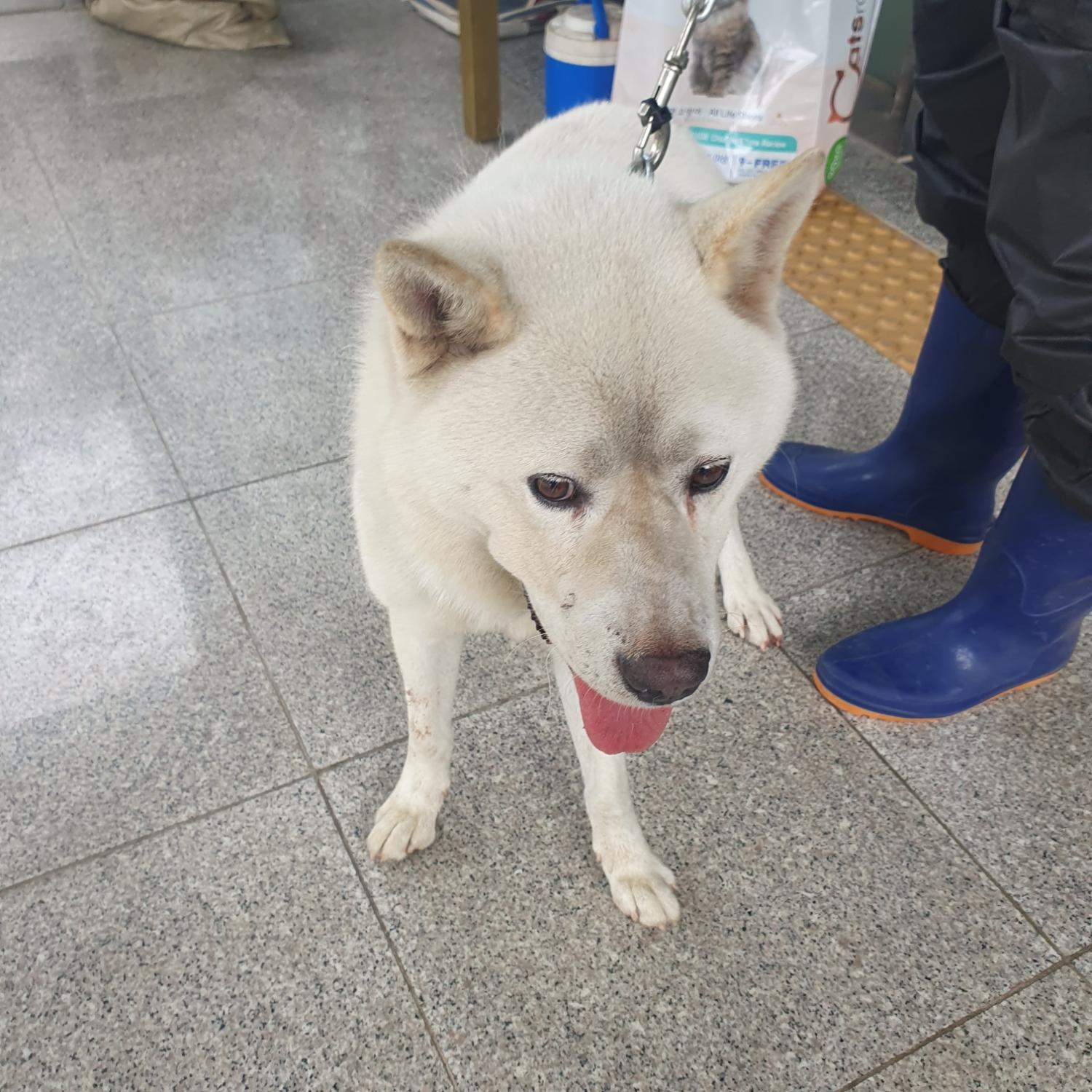 구미시 동물보호센터_447508202300837