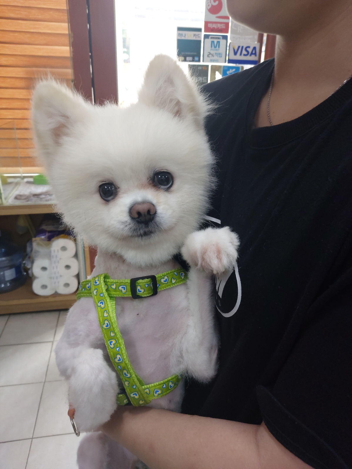우리동물병원_428356202301342