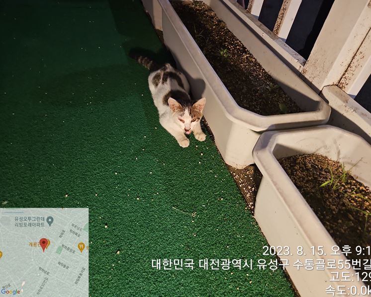 대전동물보호센터_430367202300530
