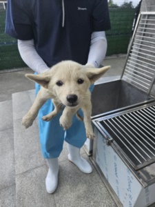 종료(자연사) 믹스…