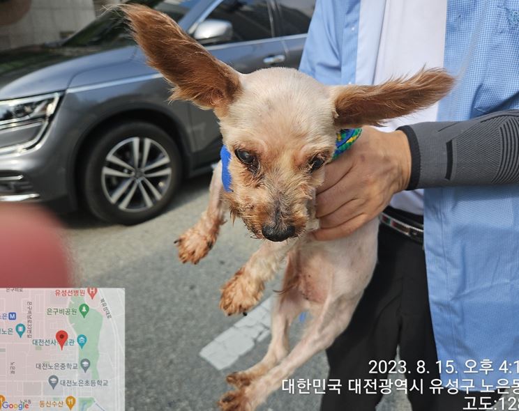 대전동물보호센터_430367202300529