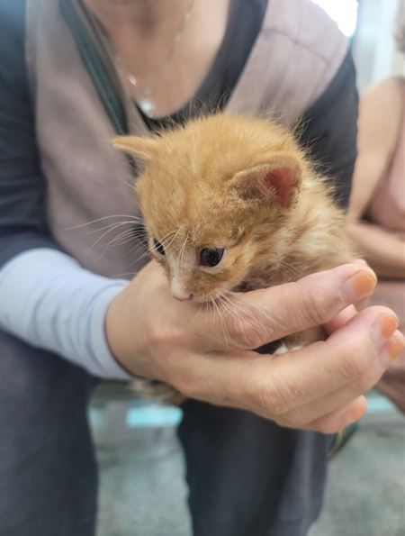 대전동물보호센터_430367202300532
