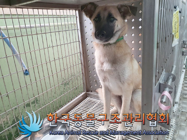 한국동물구조관리협회_441406202301169