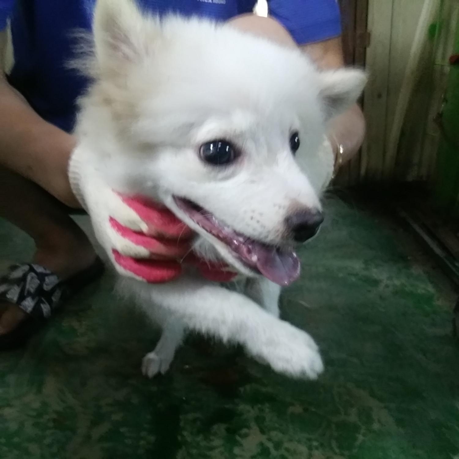 인천광역시수의사회_428351202300641