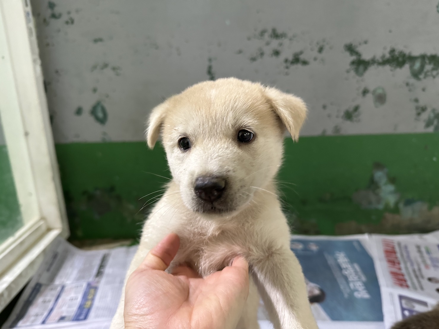한국야생동물보호협회_441397202300230