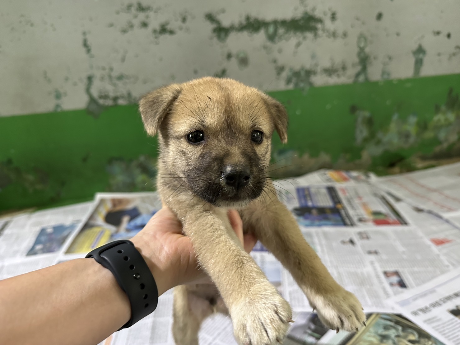 한국야생동물보호협회_441397202300229