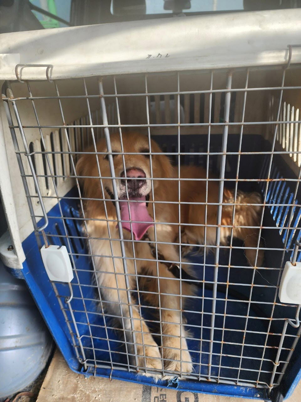 아산동물복지지원센터_444452202301633