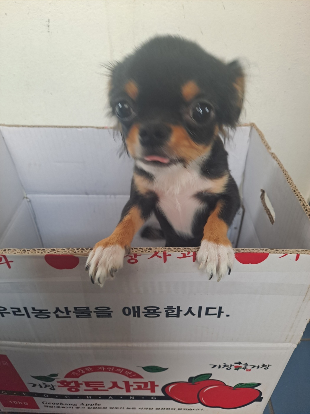 거제시유기동물보호소_448537202301031