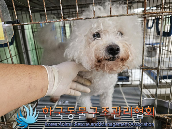 한국동물구조관리협회_411311202300638