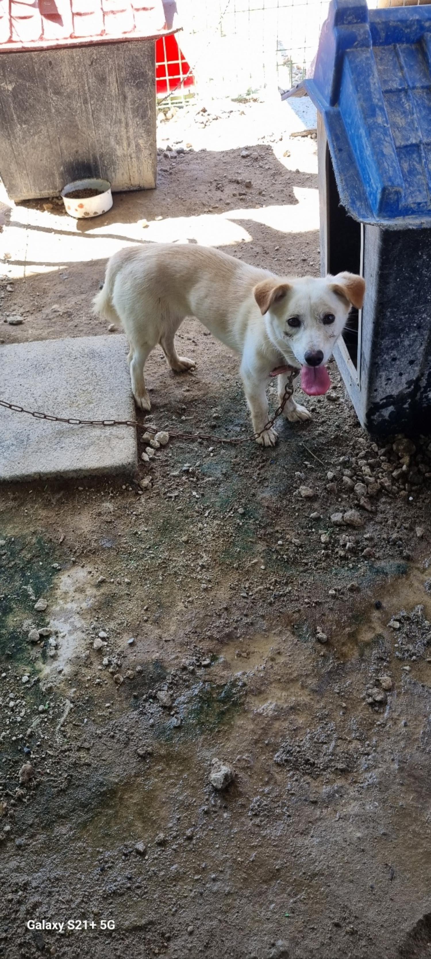 전북말산업복합센터_445471202300554