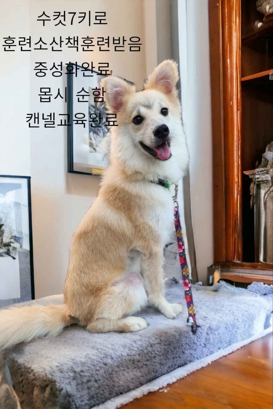 성주유기동물보호센터_447521202300296