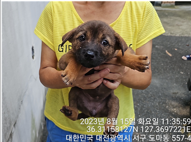 대전동물보호센터_430366202300492