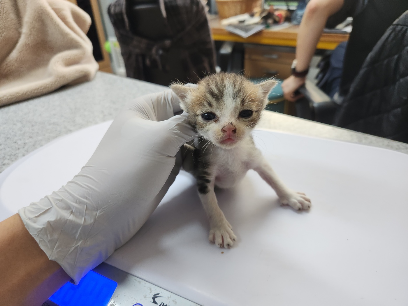 광주 동물보호소_429363202300770