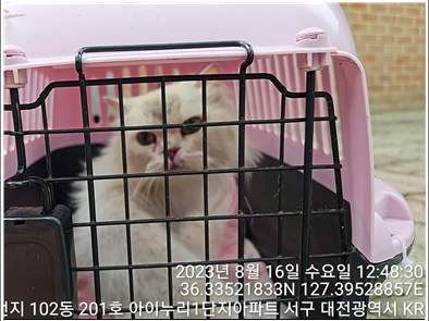대전동물보호센터_430366202300496