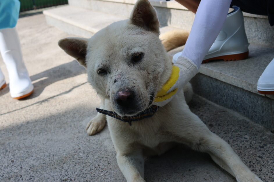 제주 동물보호센터_450650202302907