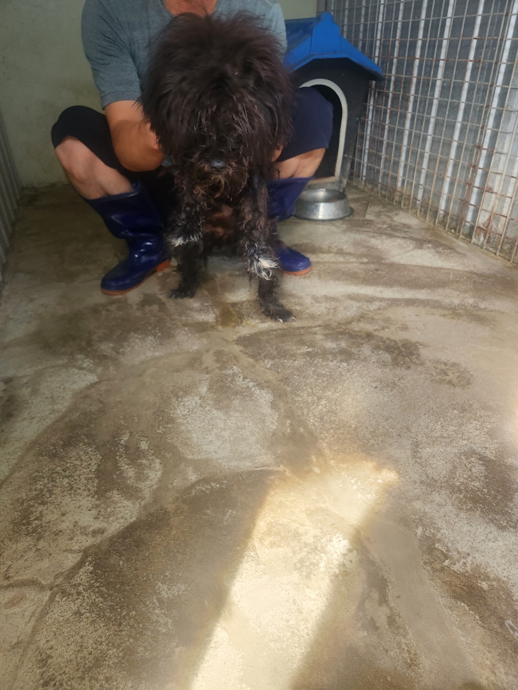 예천군유기동물보호소_447523202300425