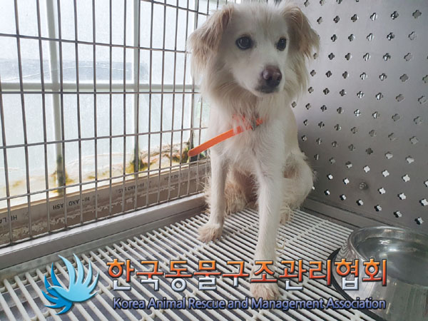 한국동물구조관리협회_441559202300860
