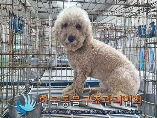 한국동물구조관리협회_441409202301308