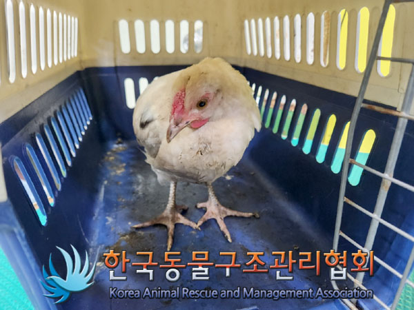 한국동물구조관리협회_411315202300502