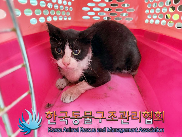한국동물구조관리협회_411305202300423