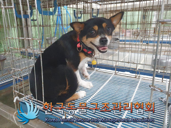 한국동물구조관리협회_411311202300640