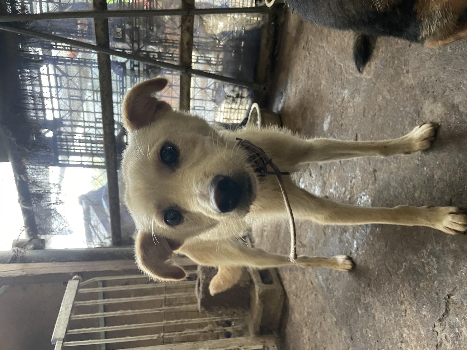 성주유기동물보호센터_447521202300300