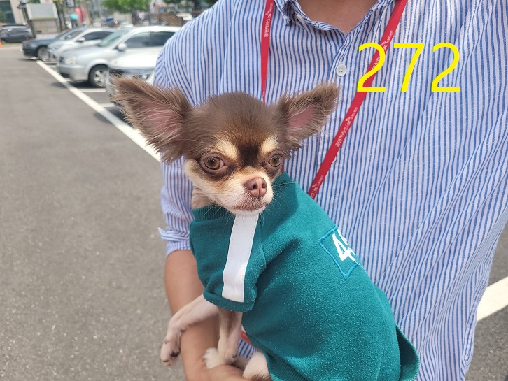 신영재동물병원_428355202300453